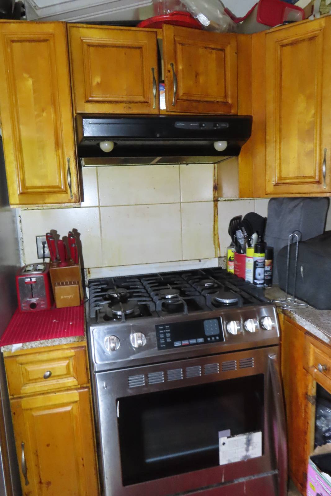 #8 photo, 470 Elton Street, East New York , NY 11208