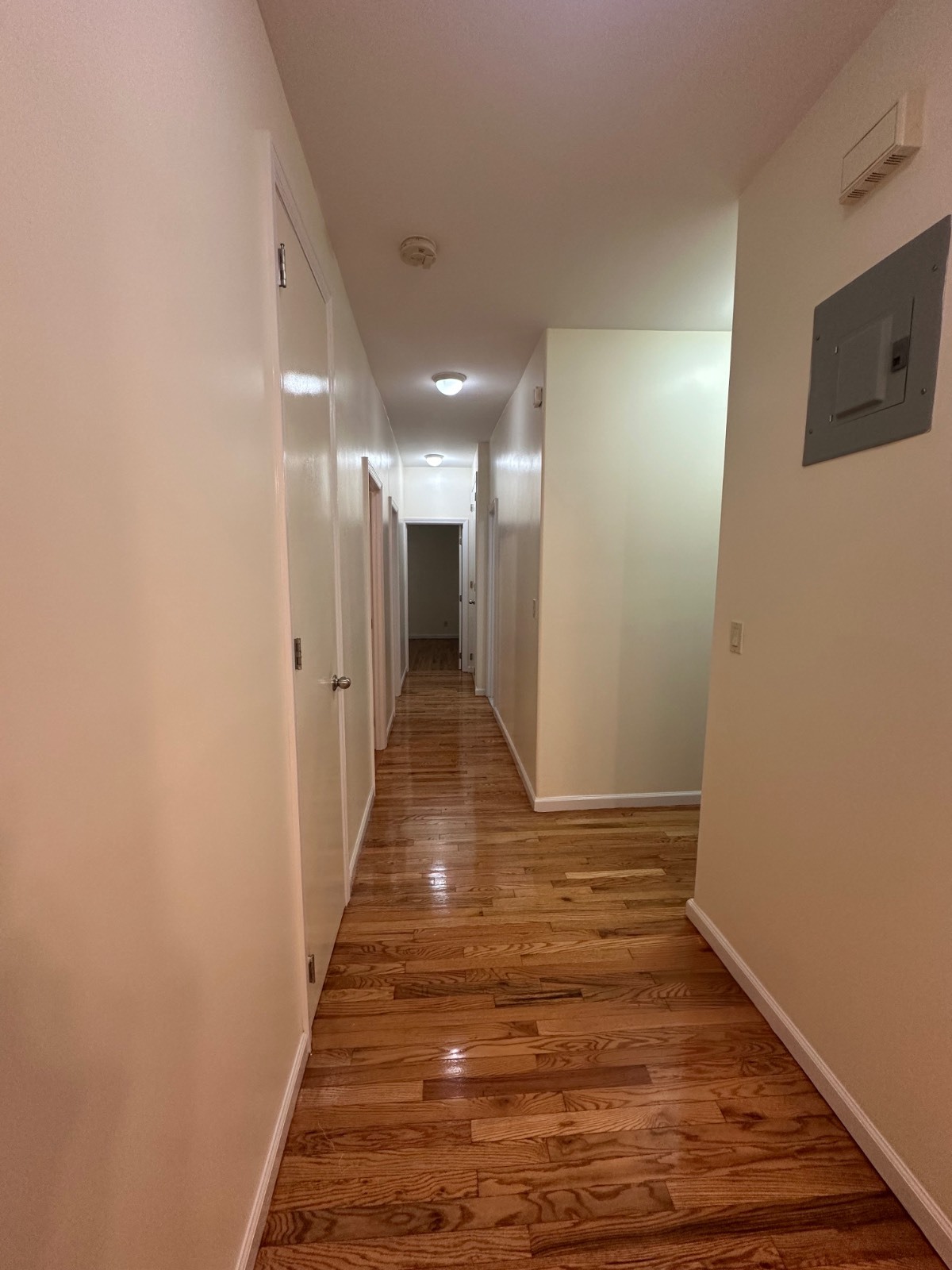 #17 photo, 1917 Avenue O, #1A, Brooklyn , NY 11230