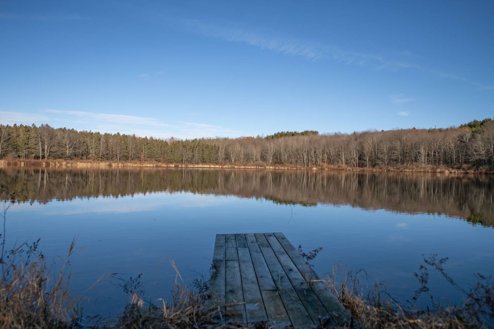 #1 photo, 0 Clark Rd Lot 5, Masonville , NY 13839