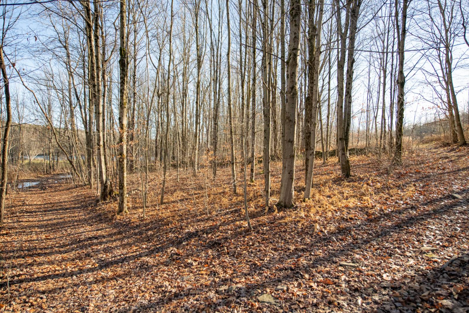 #10 photo, 0 Clark Rd Lot 5, Masonville , NY 13839