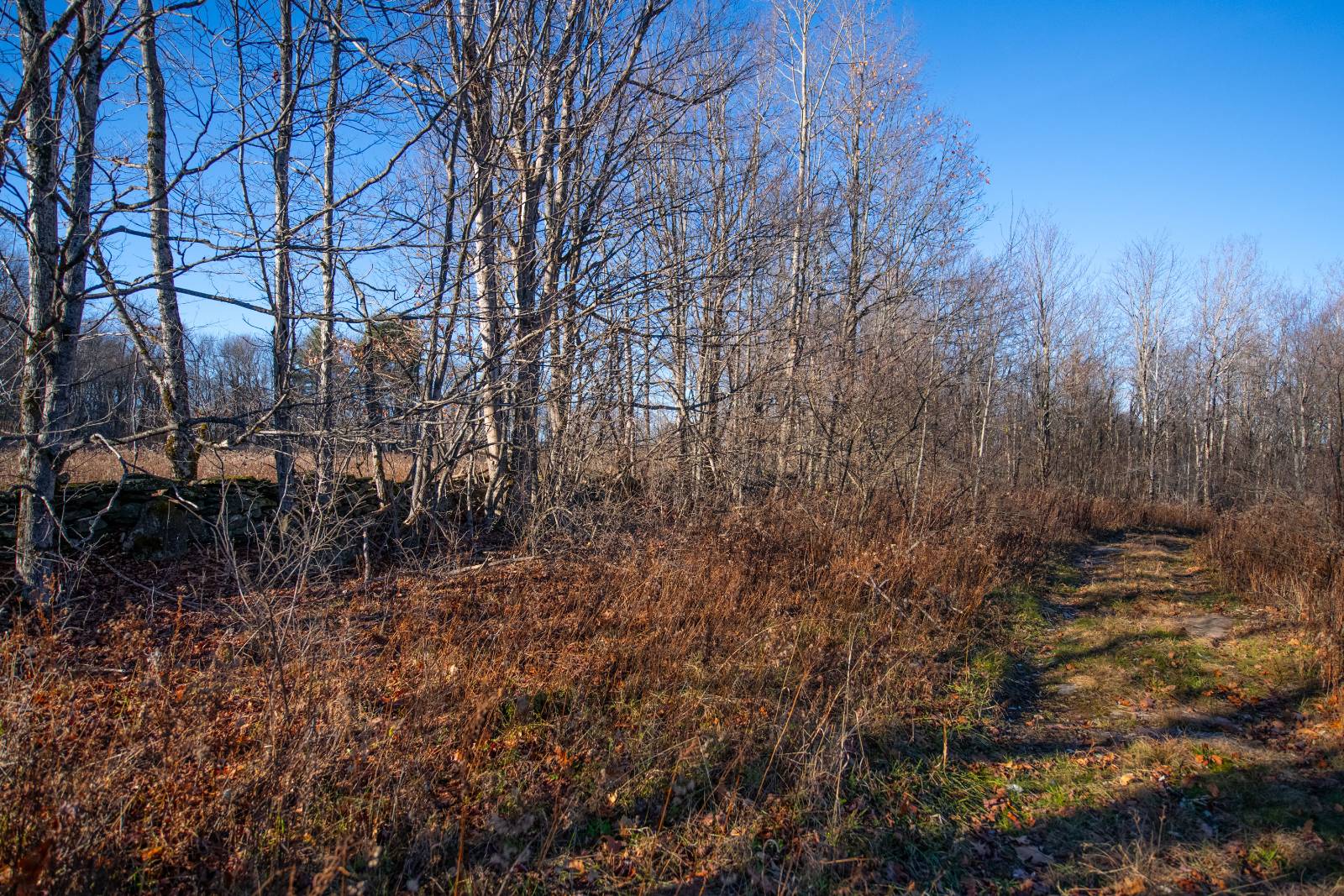 #11 photo, 0 Clark Rd Lot 5, Masonville , NY 13839