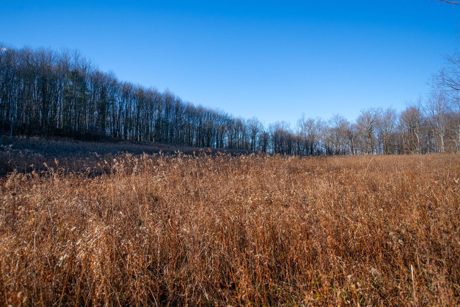 #12 photo, 0 Clark Rd Lot 5, Masonville , NY 13839