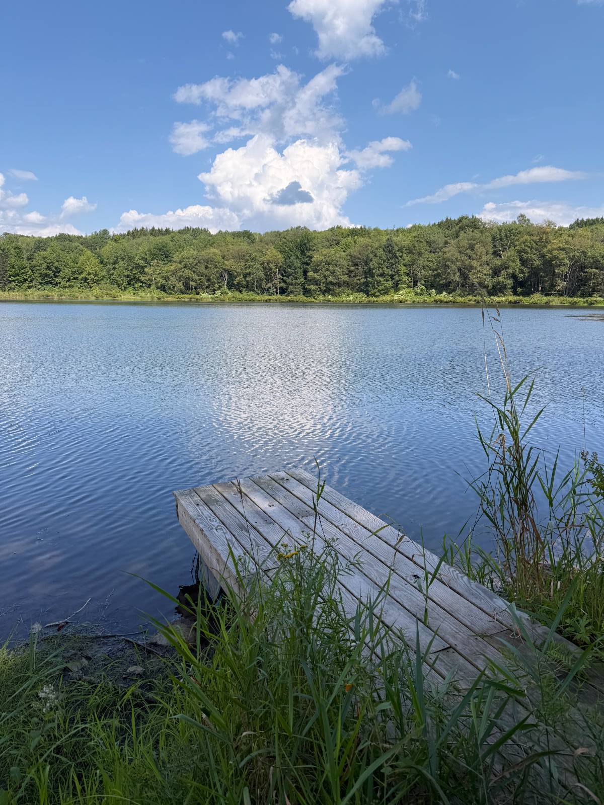 #2 photo, 0 Clark Rd Lot 5, Masonville , NY 13839