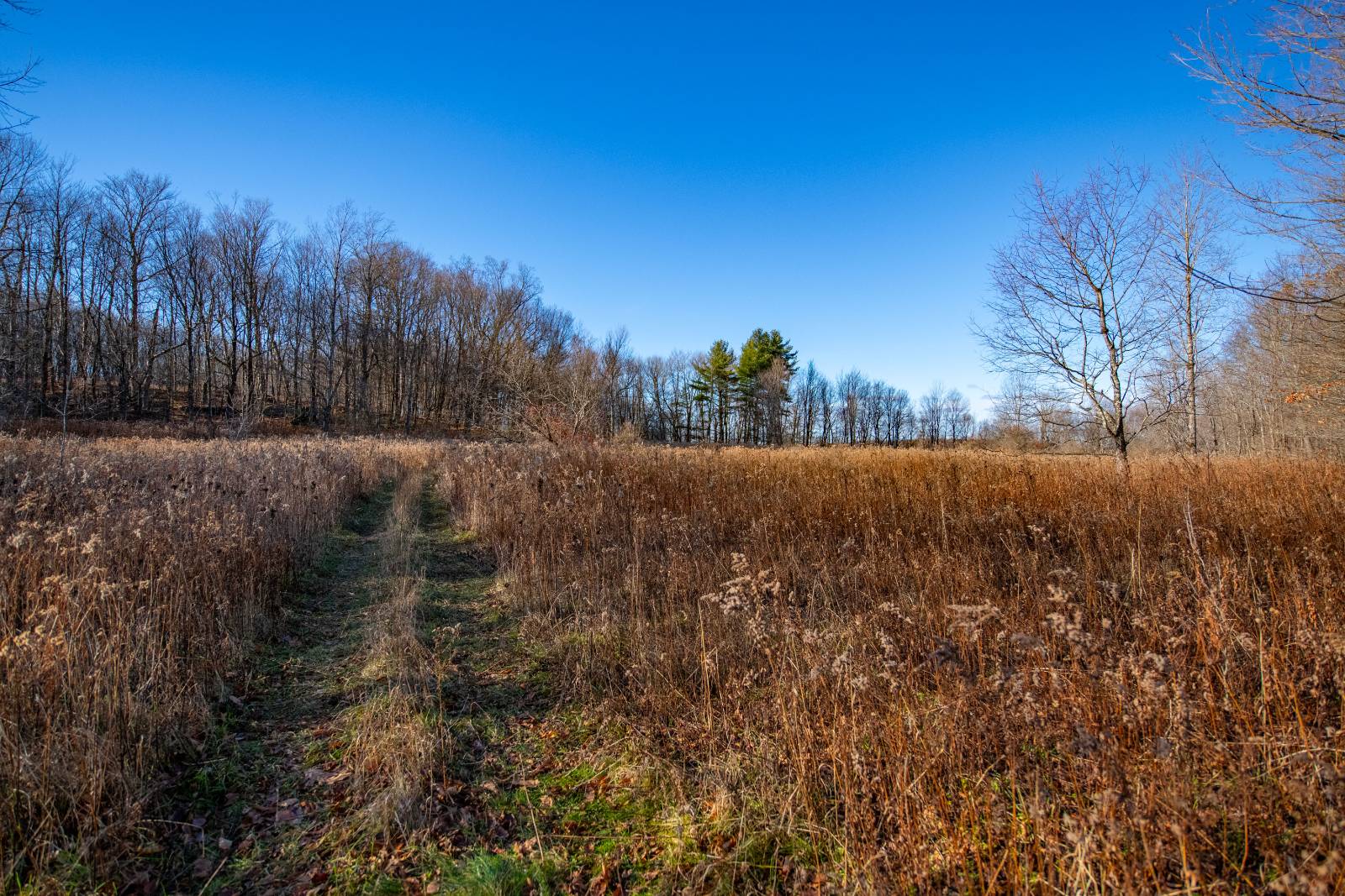 #6 photo, 0 Clark Rd Lot 5, Masonville , NY 13839