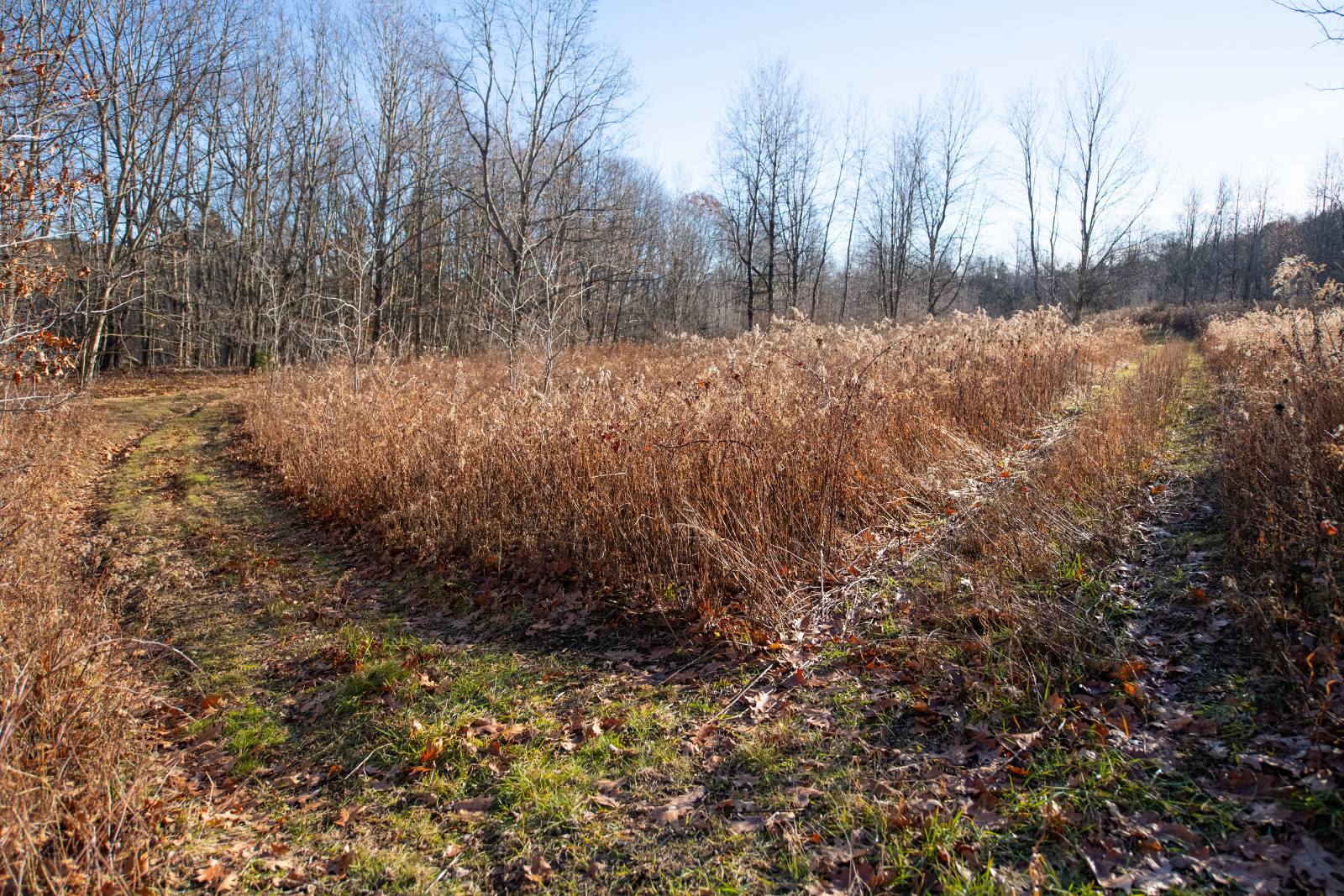 #7 photo, 0 Clark Rd Lot 5, Masonville , NY 13839