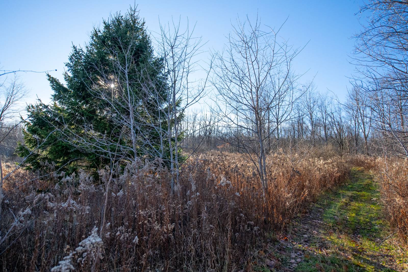 #8 photo, 0 Clark Rd Lot 5, Masonville , NY 13839