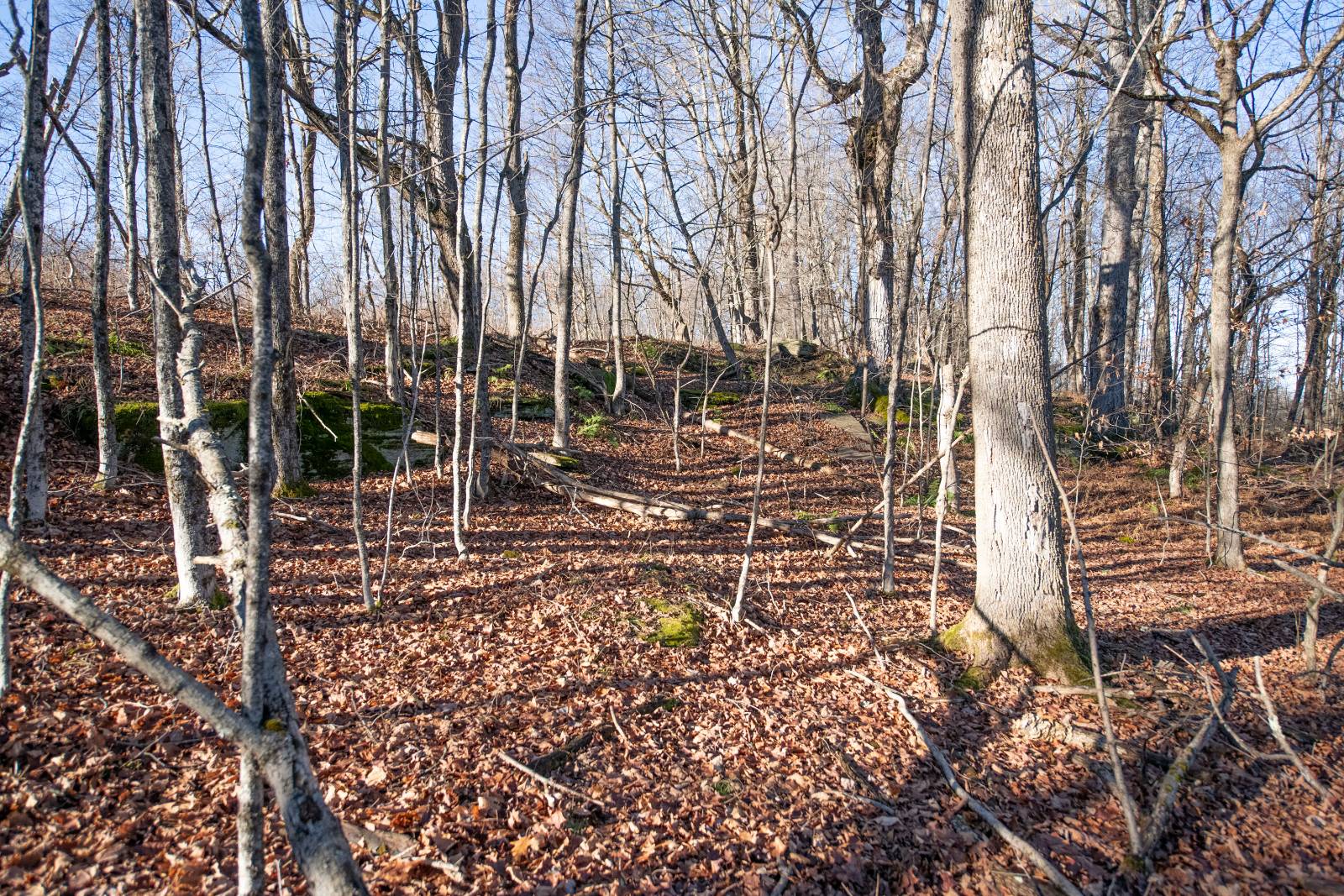 #9 photo, 0 Clark Rd Lot 5, Masonville , NY 13839