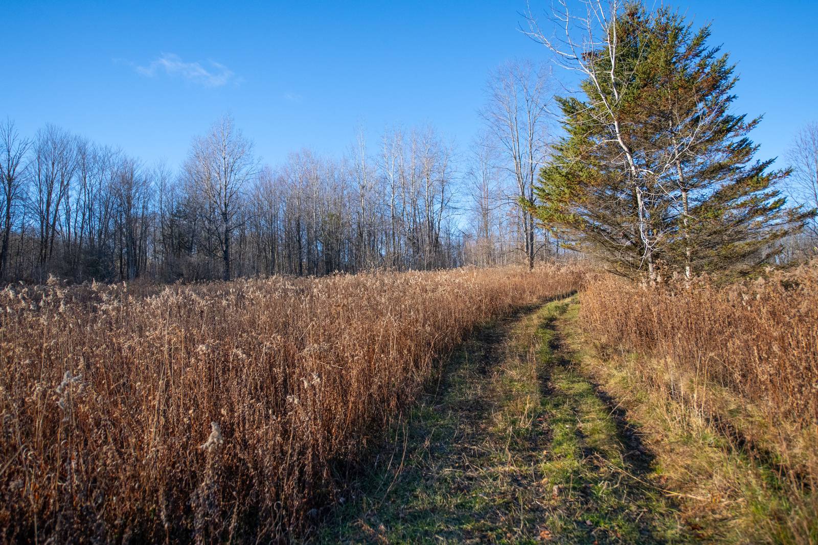 #2 photo, 0 Clark Rd Lot 6, Masonville , NY 13839