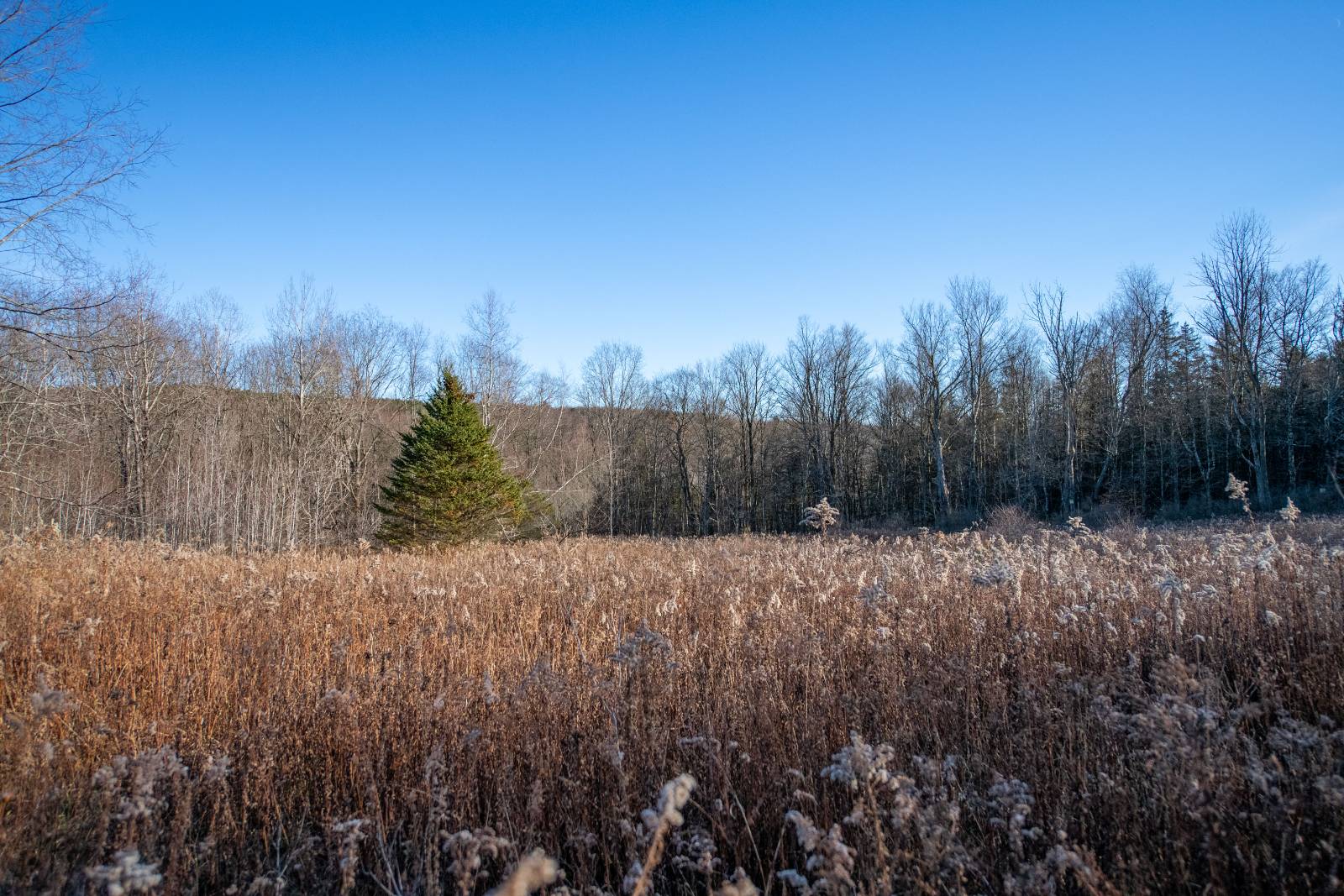 #3 photo, 0 Clark Rd Lot 6, Masonville , NY 13839