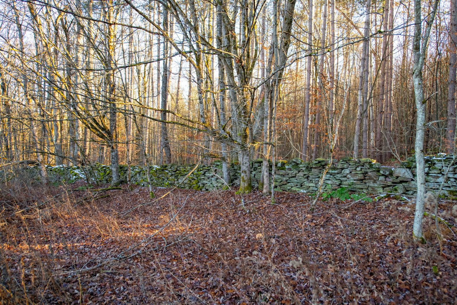 #4 photo, 0 Clark Rd Lot 6, Masonville , NY 13839