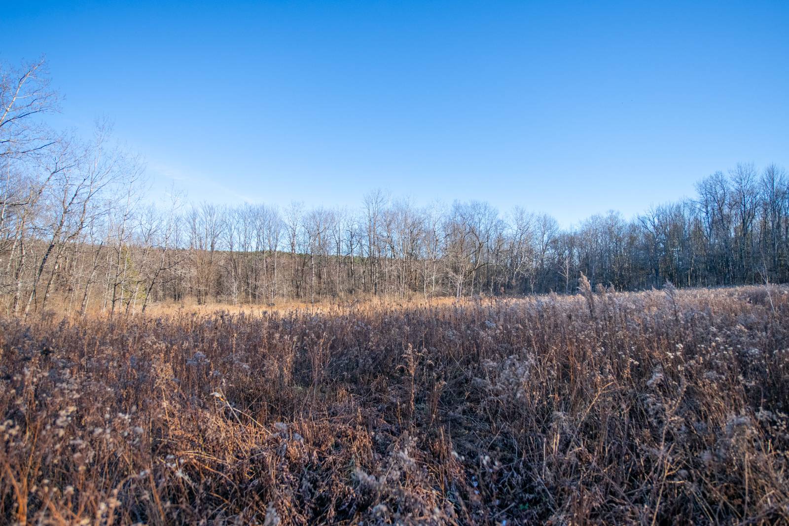 #5 photo, 0 Clark Rd Lot 6, Masonville , NY 13839