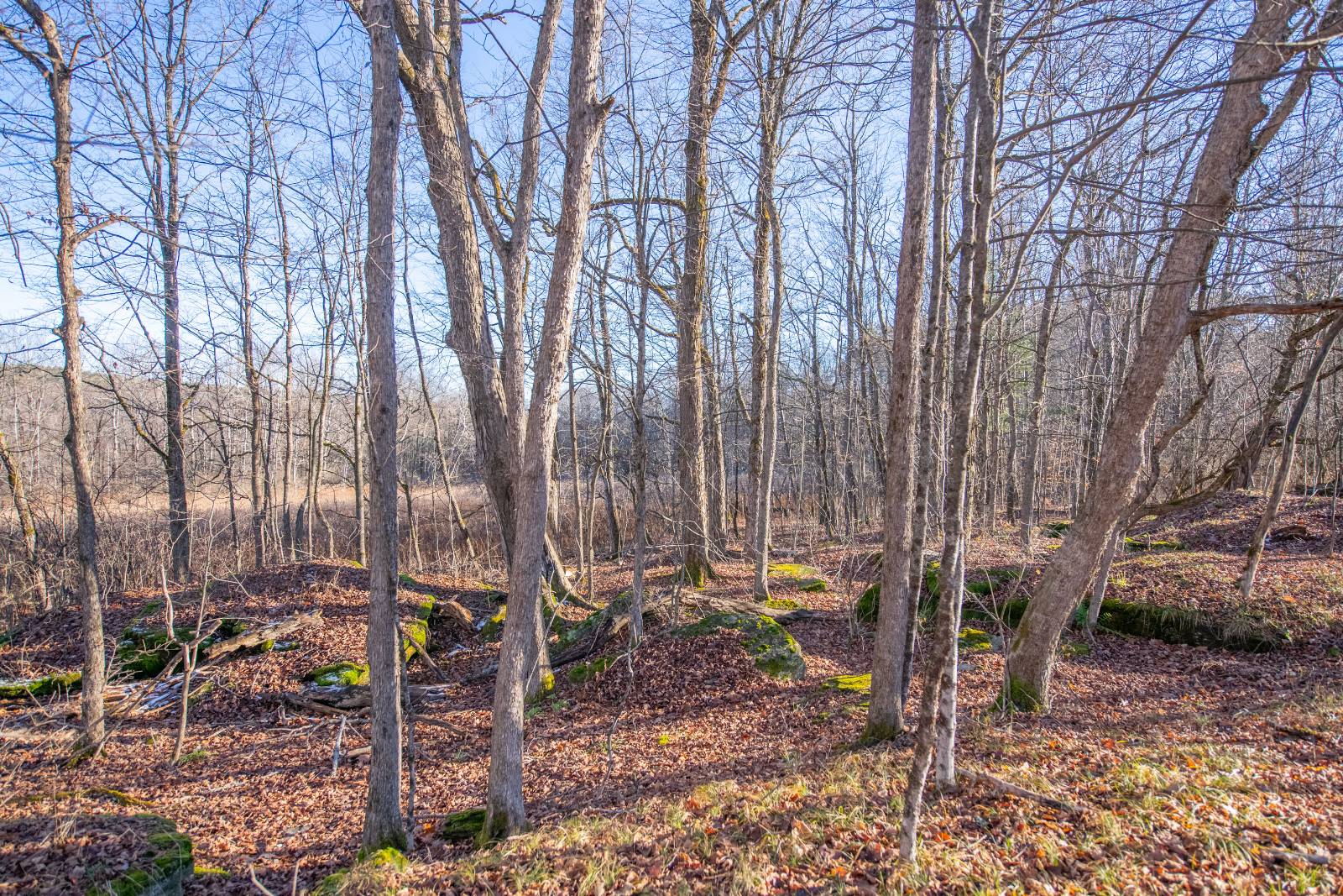 #6 photo, 0 Clark Rd Lot 6, Masonville , NY 13839