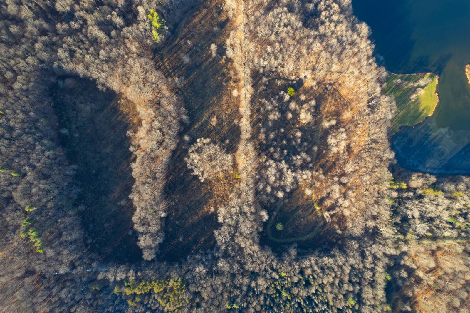 #8 photo, 0 Clark Rd Lot 6, Masonville , NY 13839