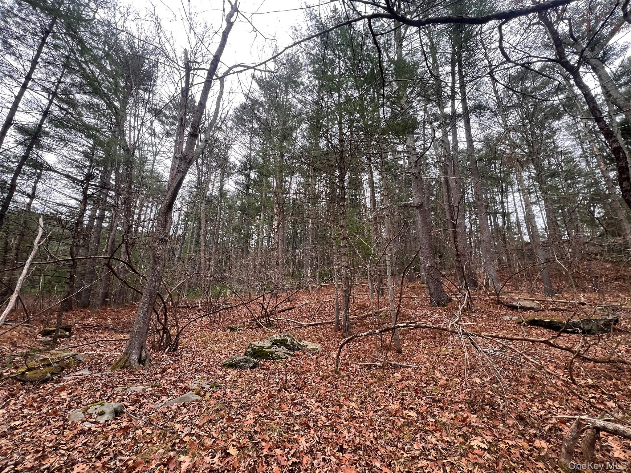 #10 photo, Hankins Rd, Narrowsburg , NY 12764