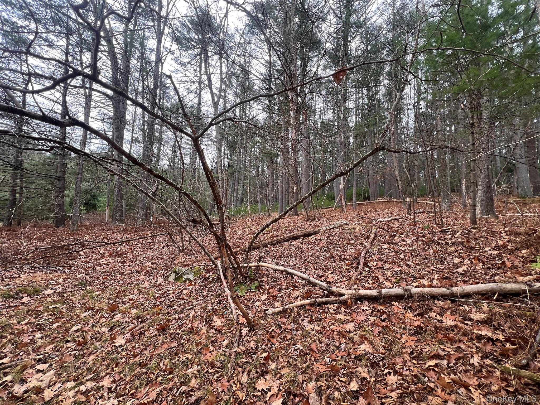 #11 photo, Hankins Rd, Narrowsburg , NY 12764