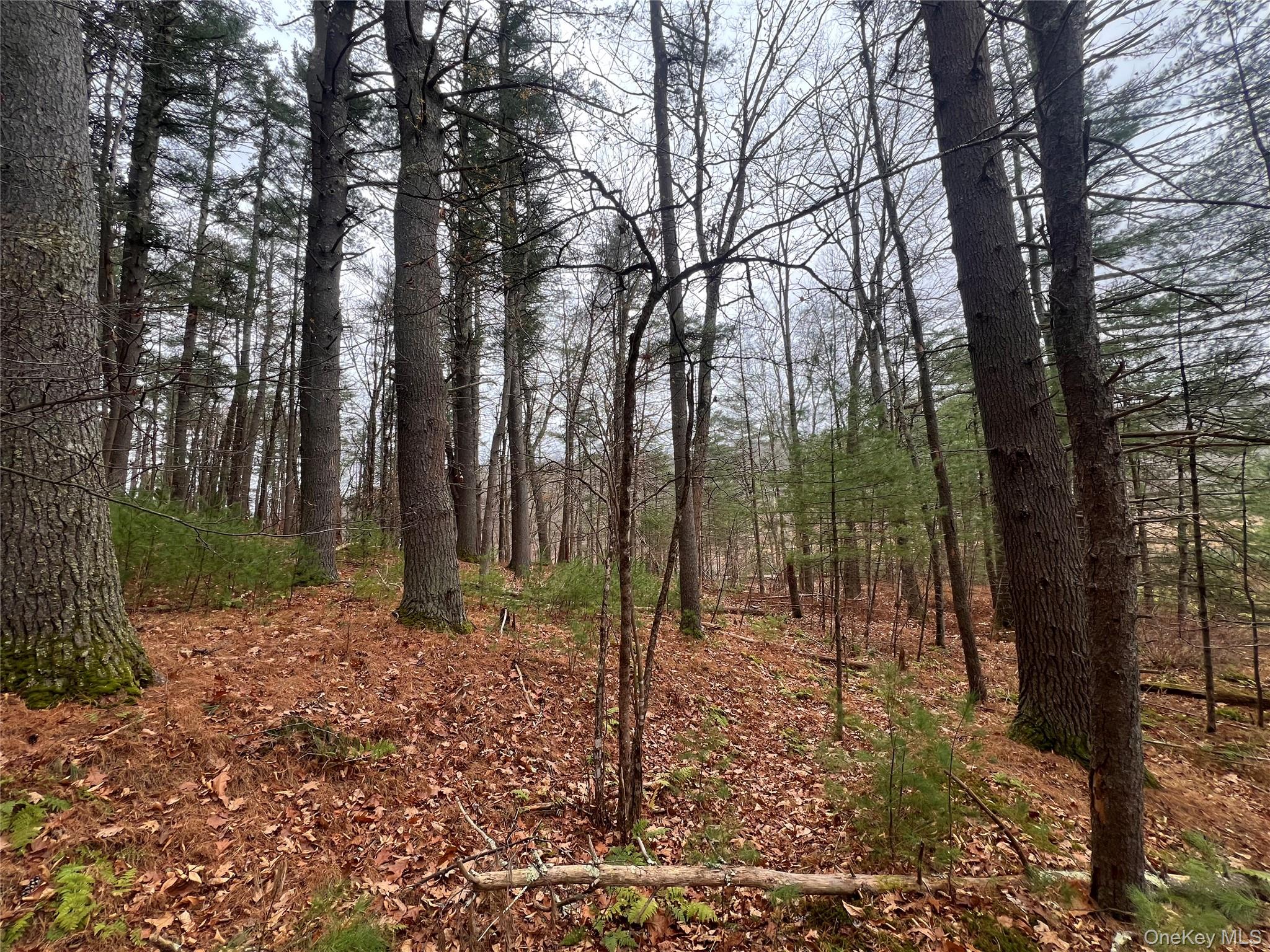 #13 photo, Hankins Rd, Narrowsburg , NY 12764