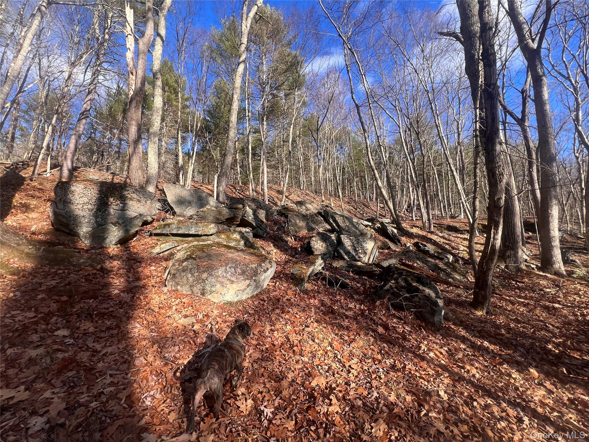 #19 photo, Hankins Rd, 紐約州 Narrowsburg , NY 12764