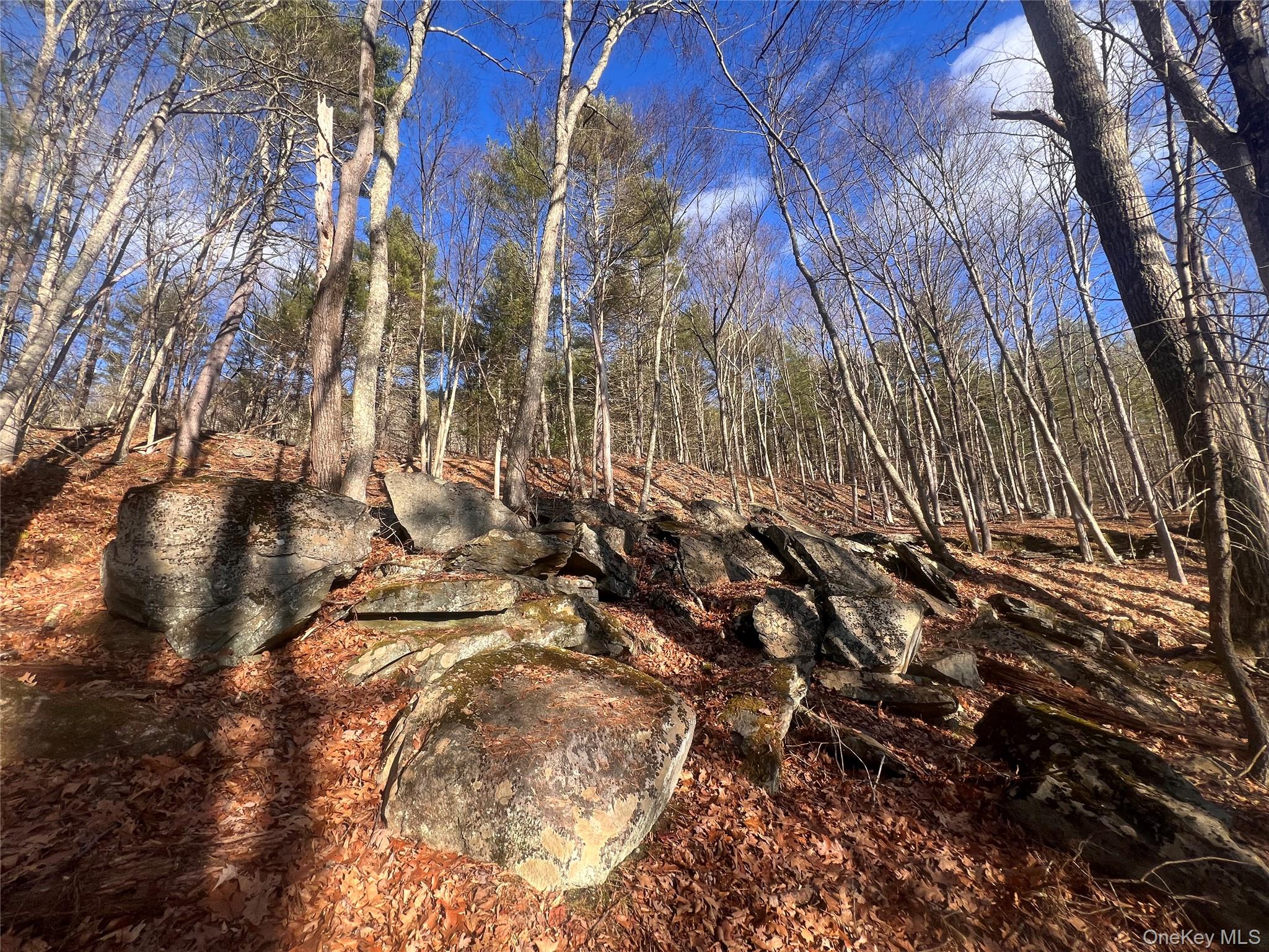 #20 photo, Hankins Rd, 紐約州 Narrowsburg , NY 12764