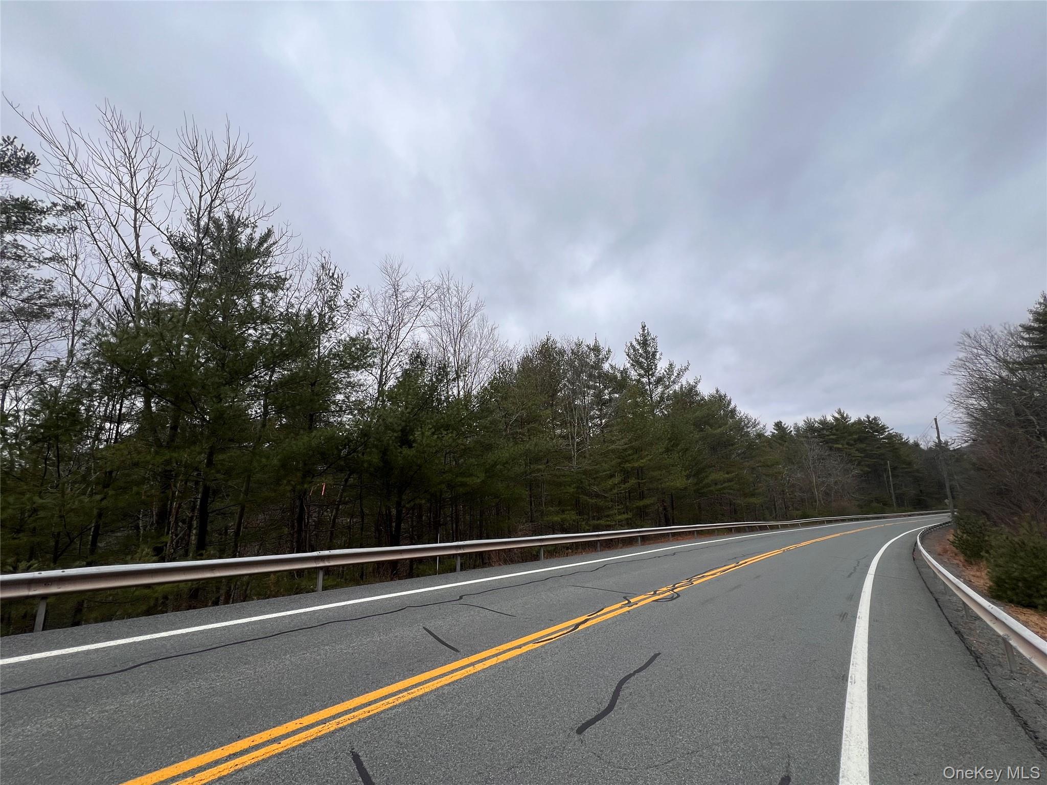 #5 photo, Hankins Rd, Narrowsburg , NY 12764