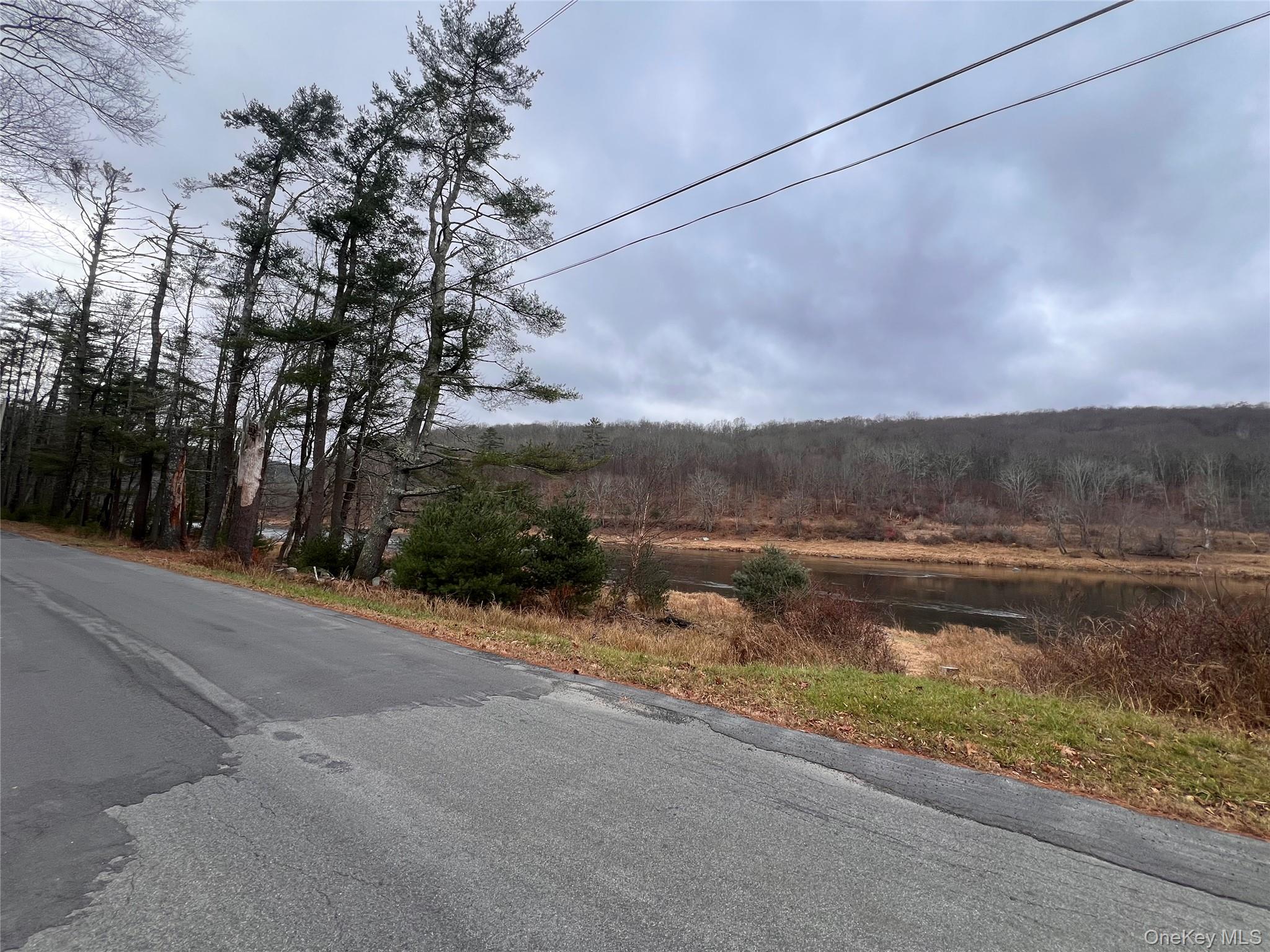 #6 photo, Hankins Rd, Narrowsburg , NY 12764