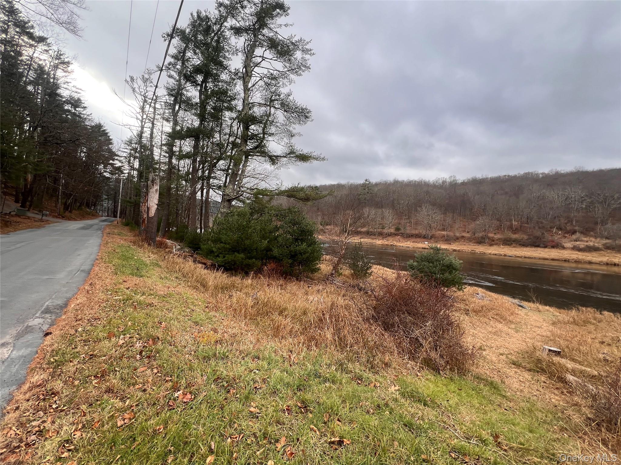 #7 photo, Hankins Rd, Narrowsburg , NY 12764