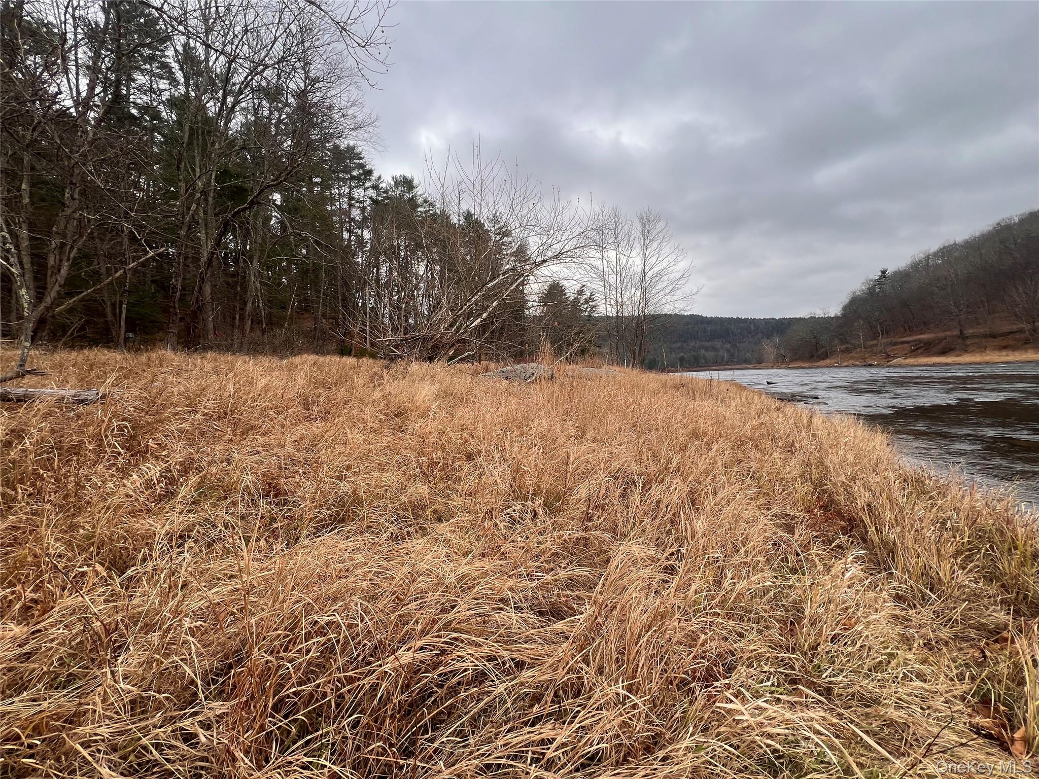 #8 photo, Hankins Rd, Narrowsburg , NY 12764