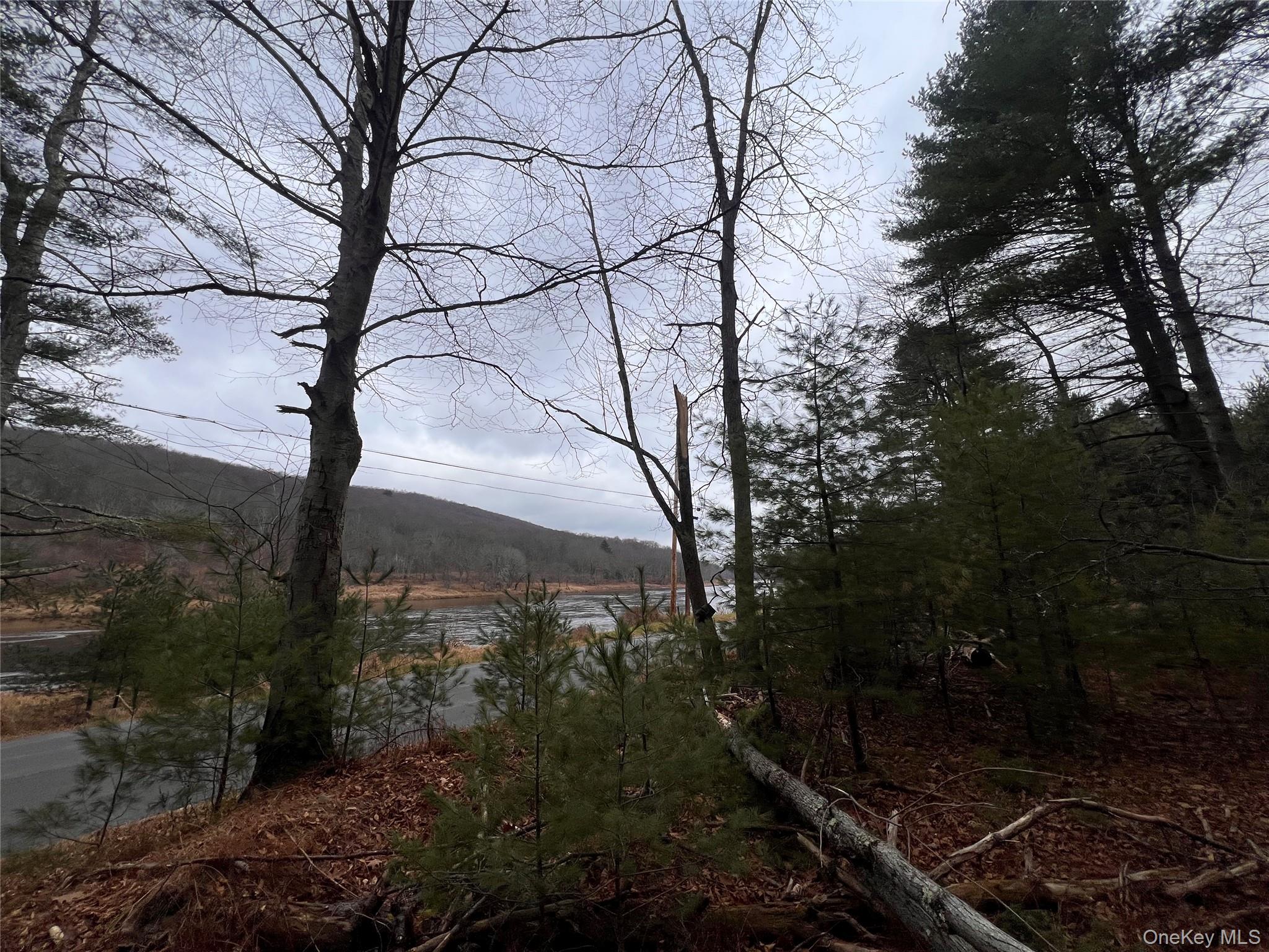 #9 photo, Hankins Rd, Narrowsburg , NY 12764