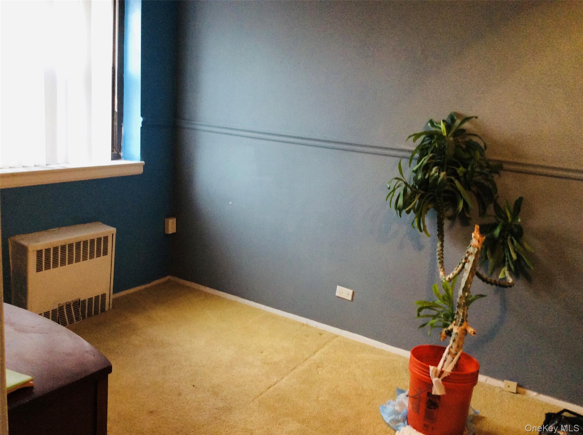 #9 photo, 204-15 Foothill Avenue, Hollis , NY 11423