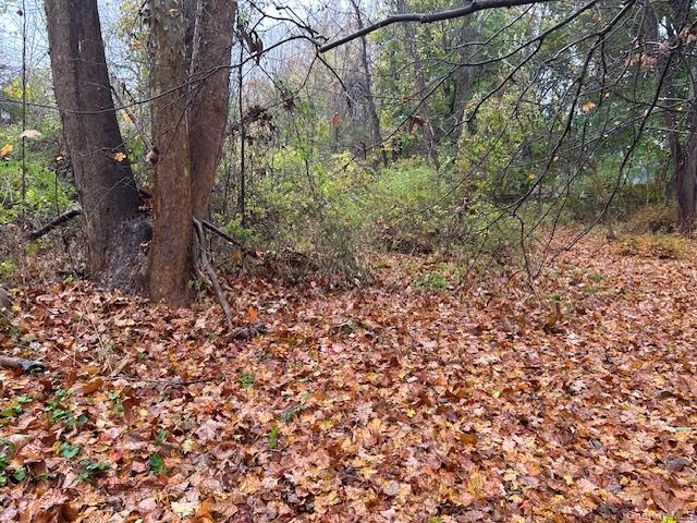 #2 photo, 252 Milltown, Brewster , NY 10509