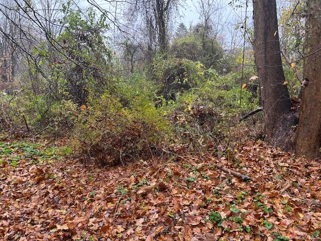 #3 photo, 252 Milltown, Brewster , NY 10509