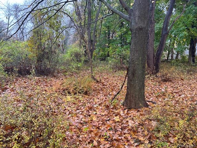 #4 photo, 252 Milltown, Brewster , NY 10509