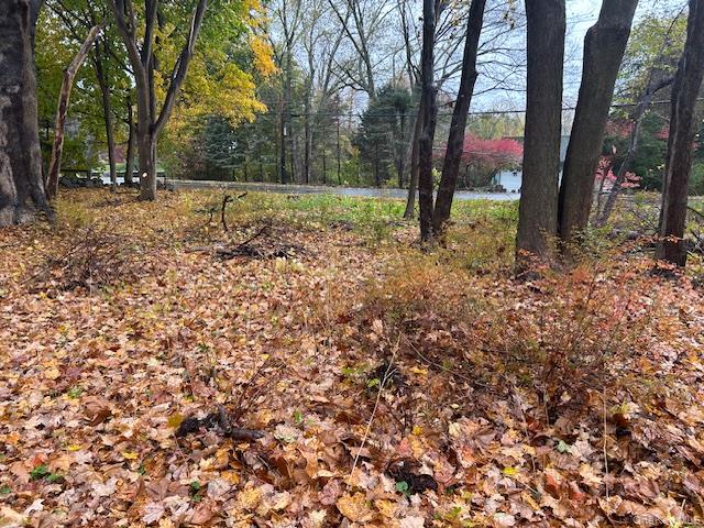 #5 photo, 252 Milltown, Brewster , NY 10509