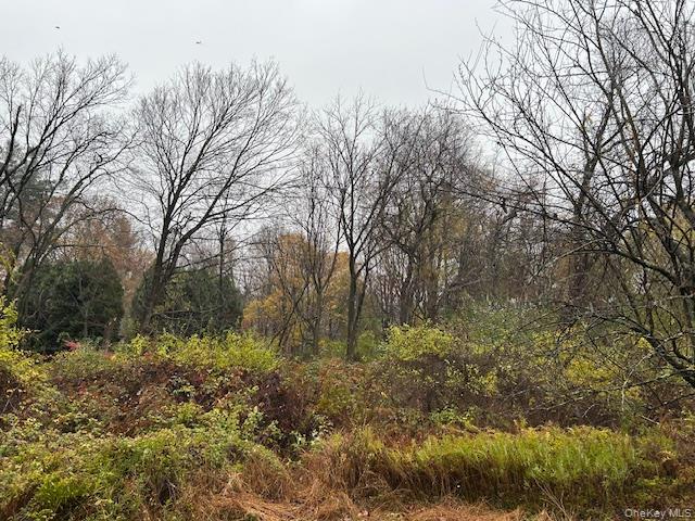 #6 photo, 252 Milltown, Brewster , NY 10509