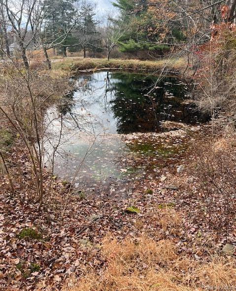 #6 photo, 252 Upper Samsonville Road, Olivebridge , NY 12461