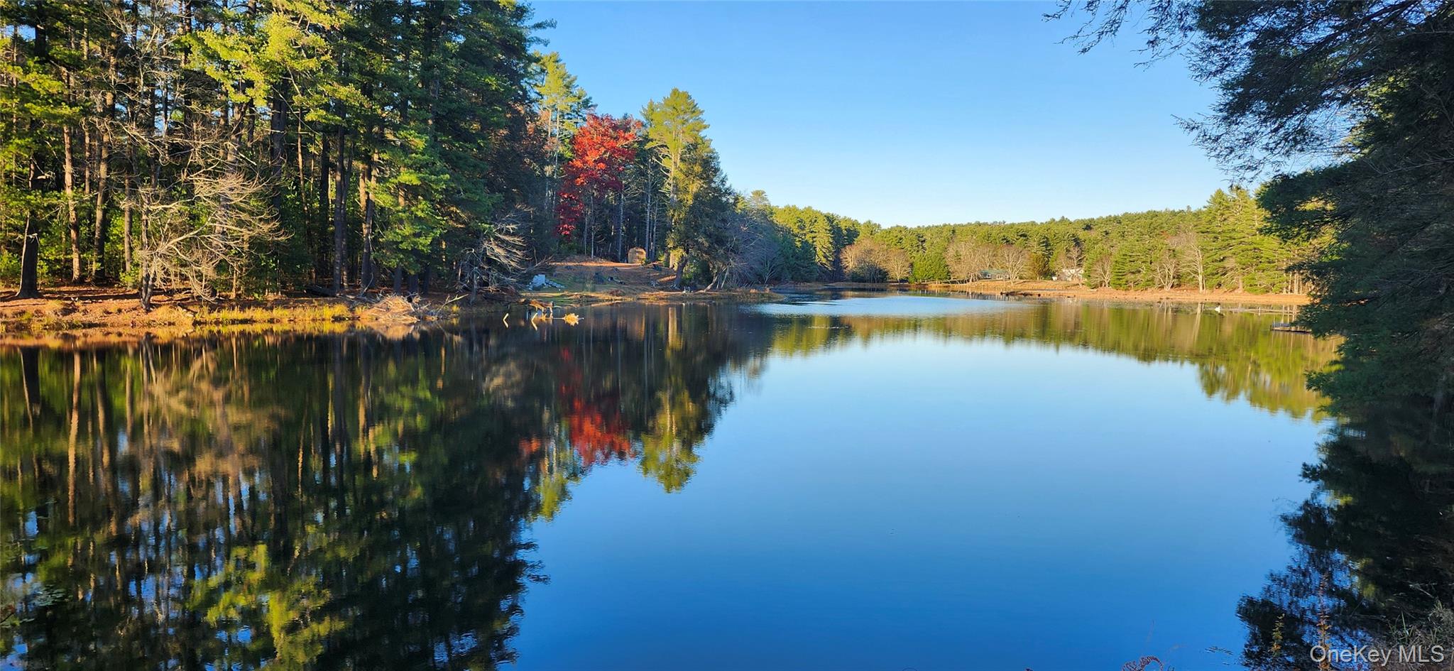 #1 photo, 40 Beaver Brook Road, Yulan , NY 12792