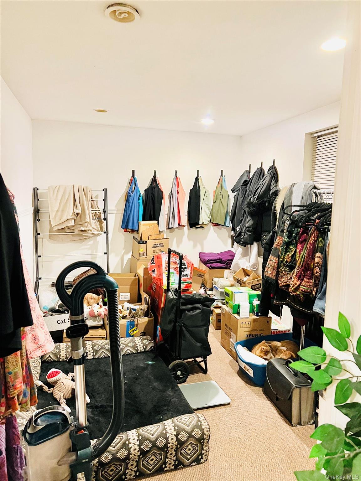 #9 photo, 82 Fern Place, Inwood , NY 11096