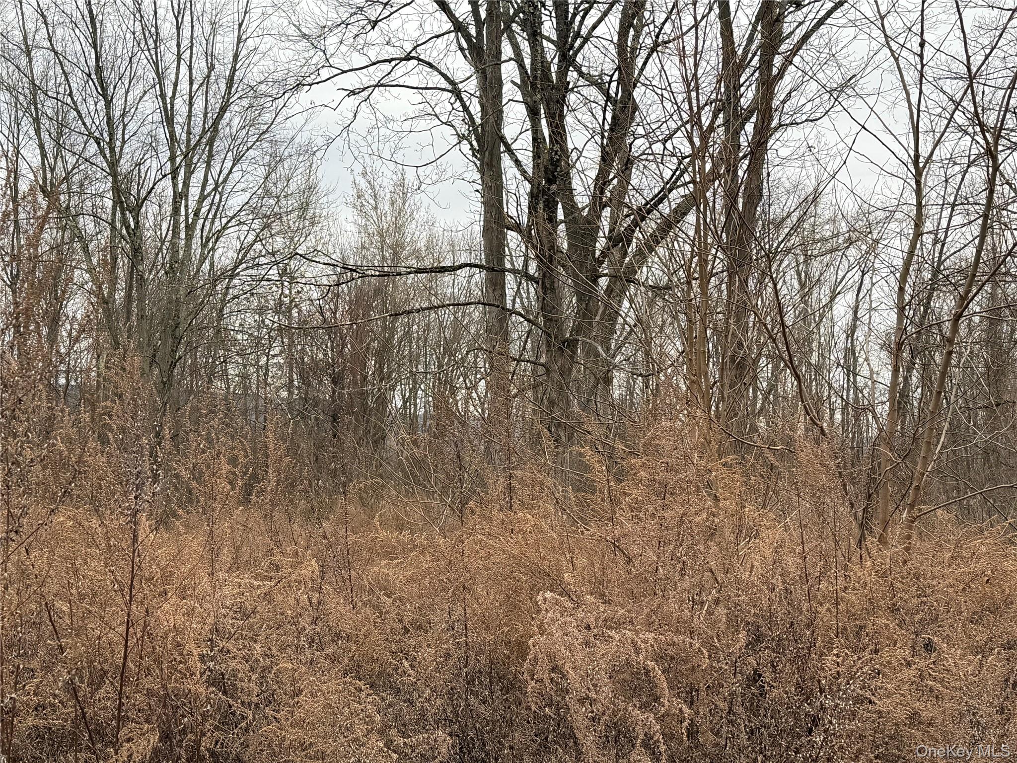 #2 photo, 16 Knights Lane, Warwick , NY 10990