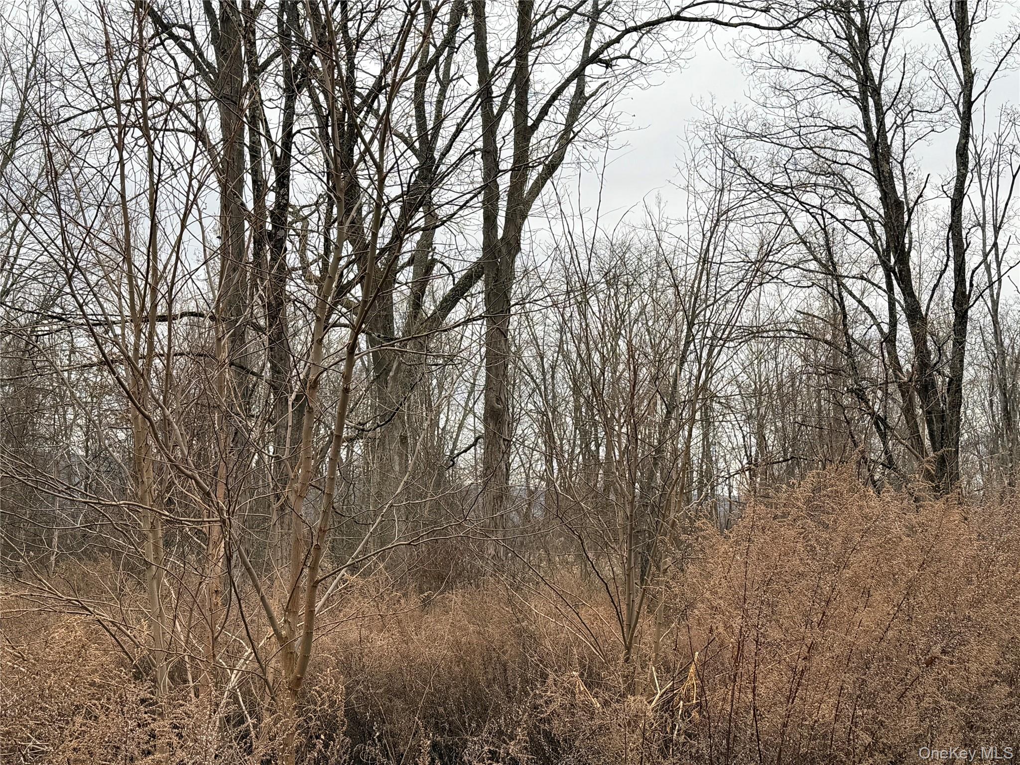 #3 photo, 16 Knights Lane, Warwick , NY 10990