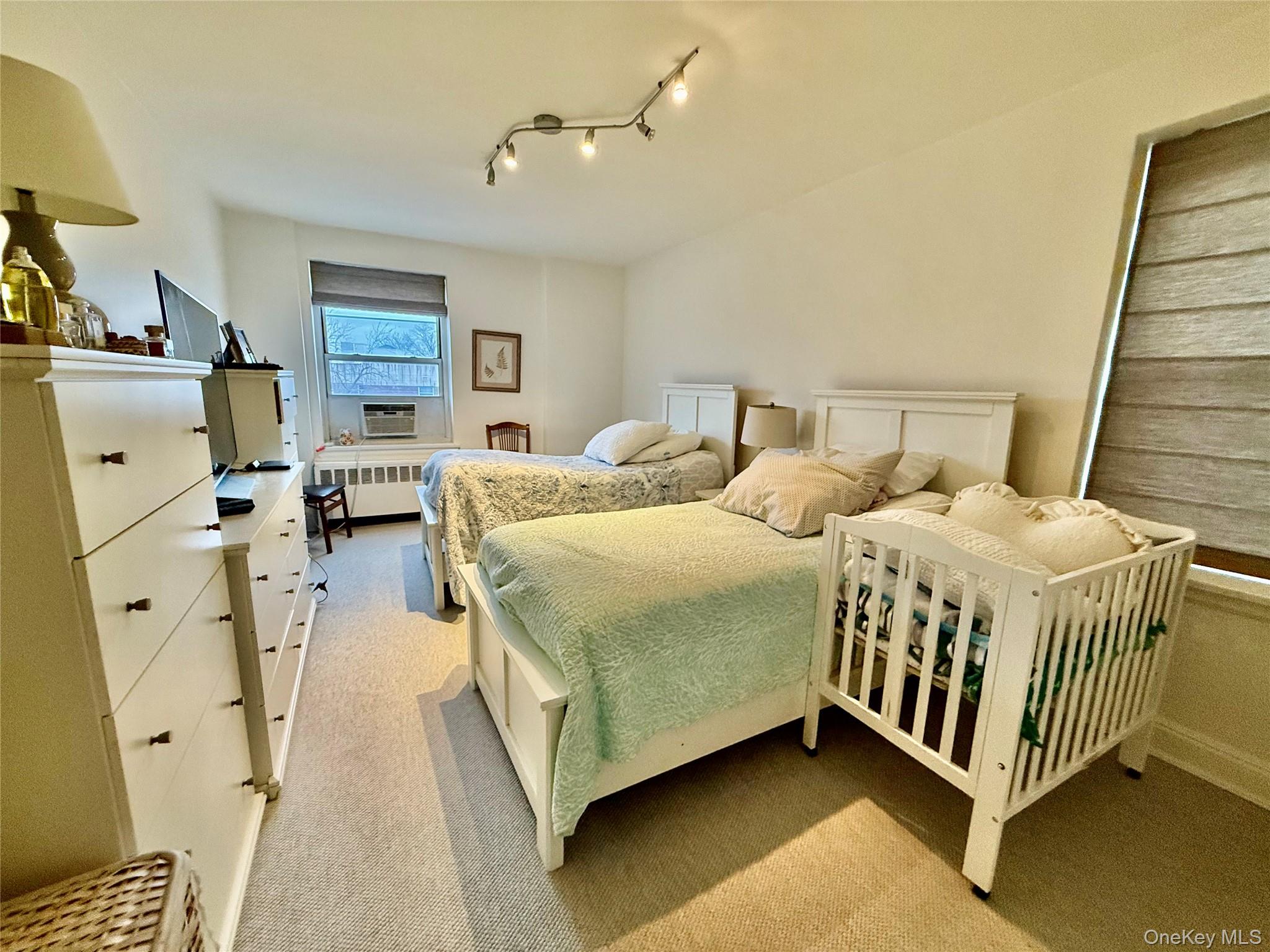 #11 photo, 75 S middle neck, Great Neck , NY 11021