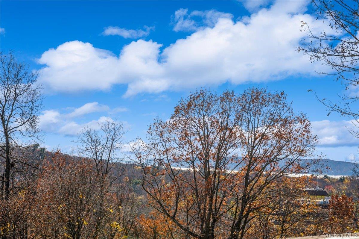 #15 photo, 154 Martling Avenue, Tarrytown , NY 10591