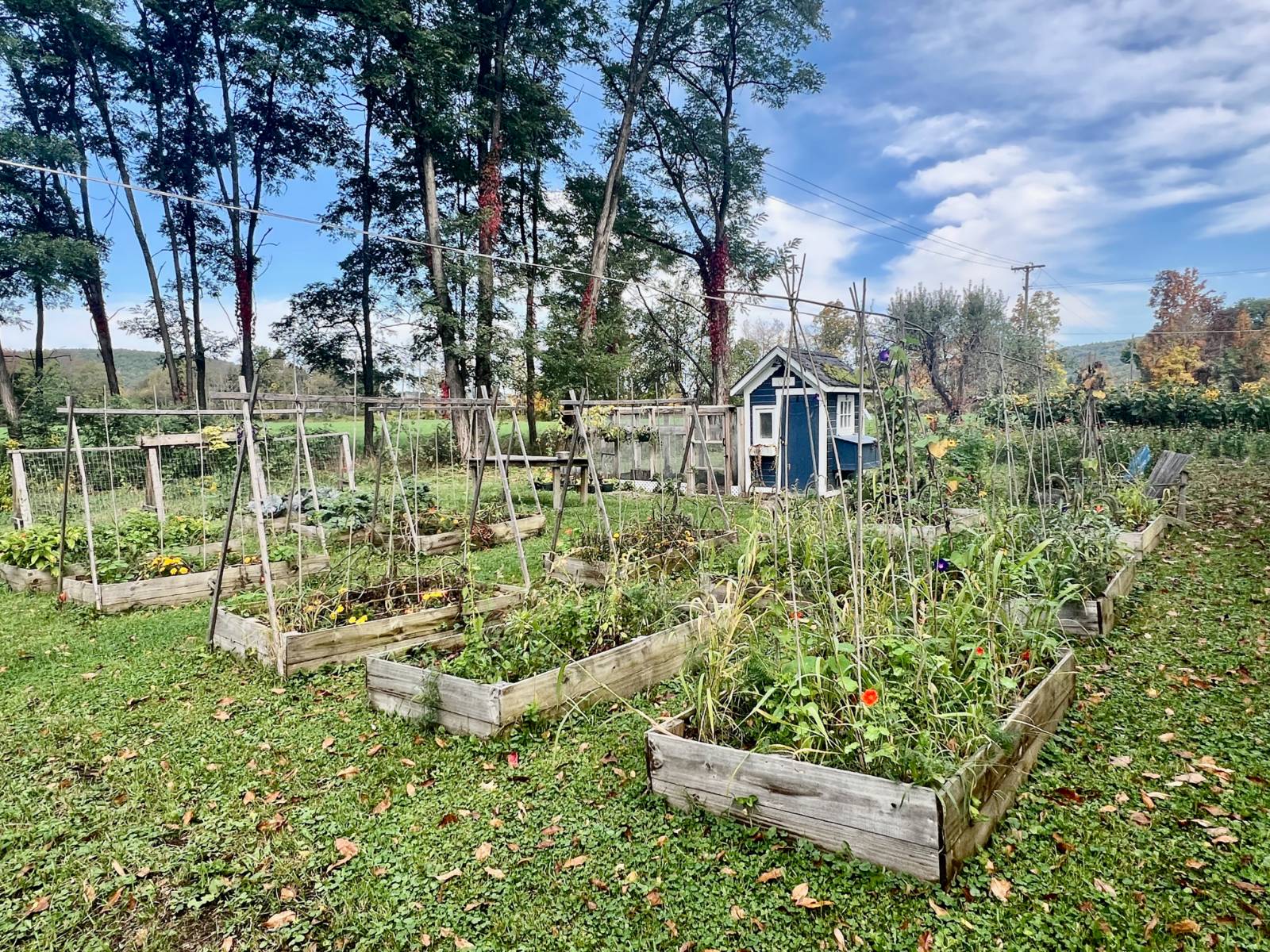 #29 photo, 935 County Highway 35, Milford , NY 12116