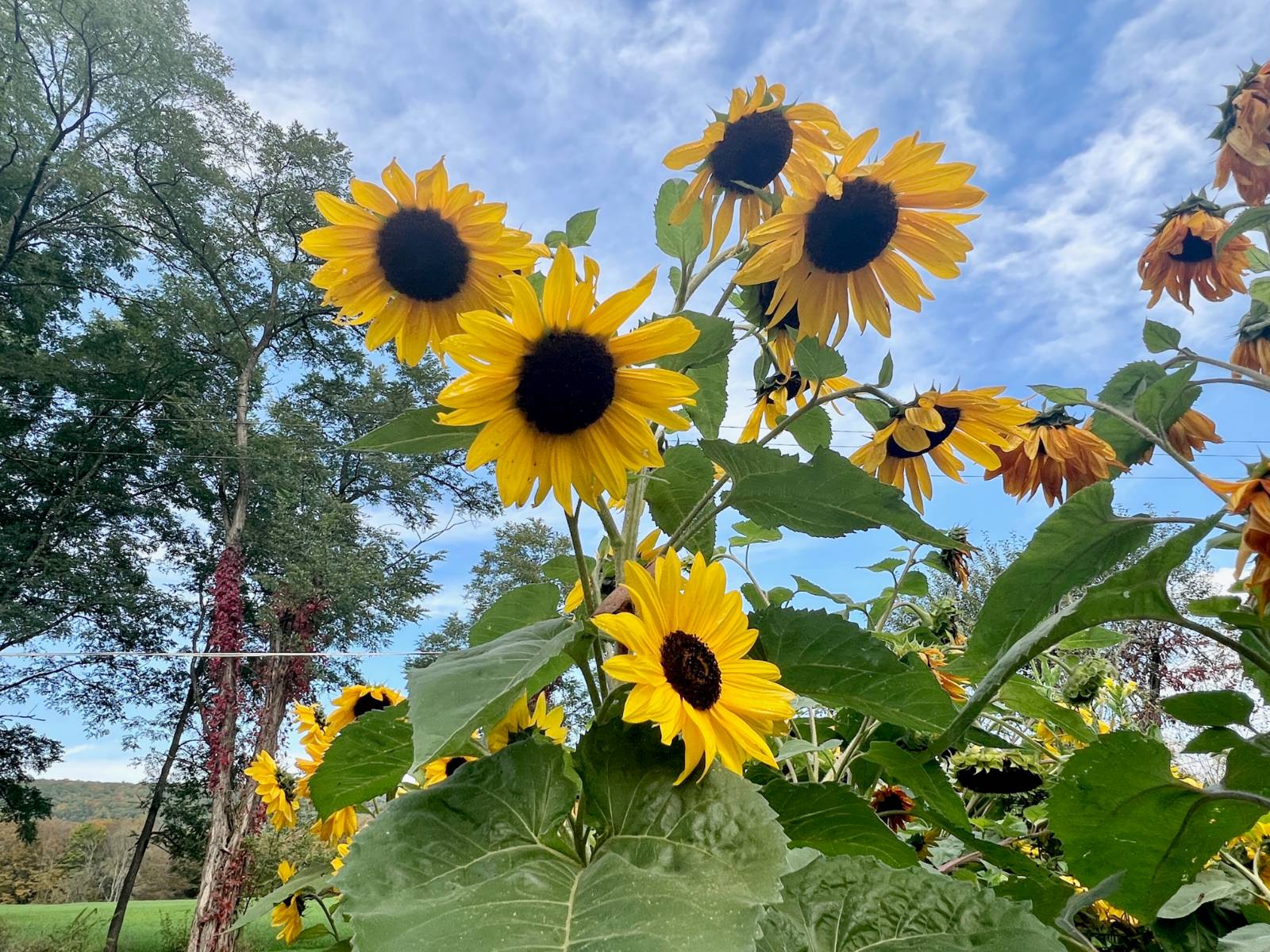 #32 photo, 935 County Highway 35, Milford , NY 12116