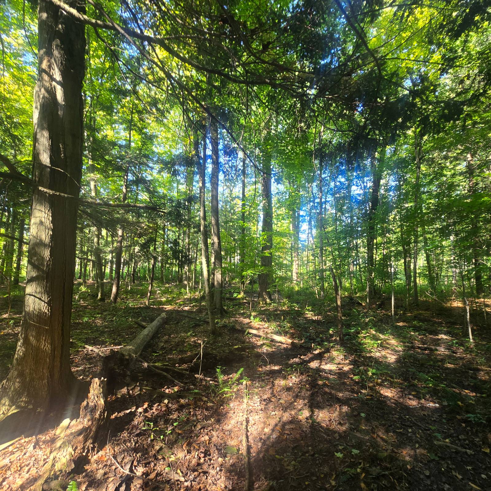 #21 photo, 2970 Whitelaw Rd, Canastota , NY 13032