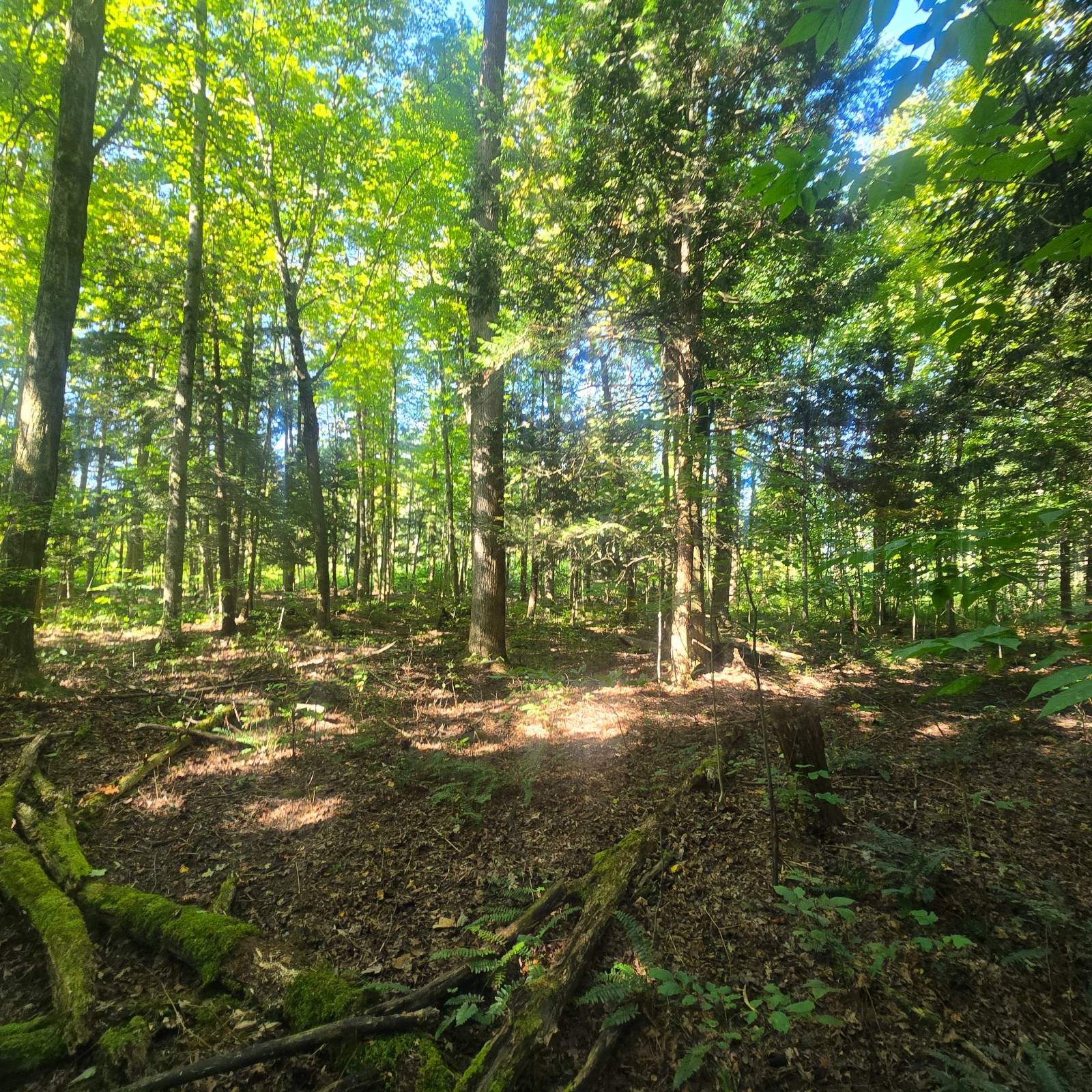 #22 photo, 2970 Whitelaw Rd, Canastota , NY 13032