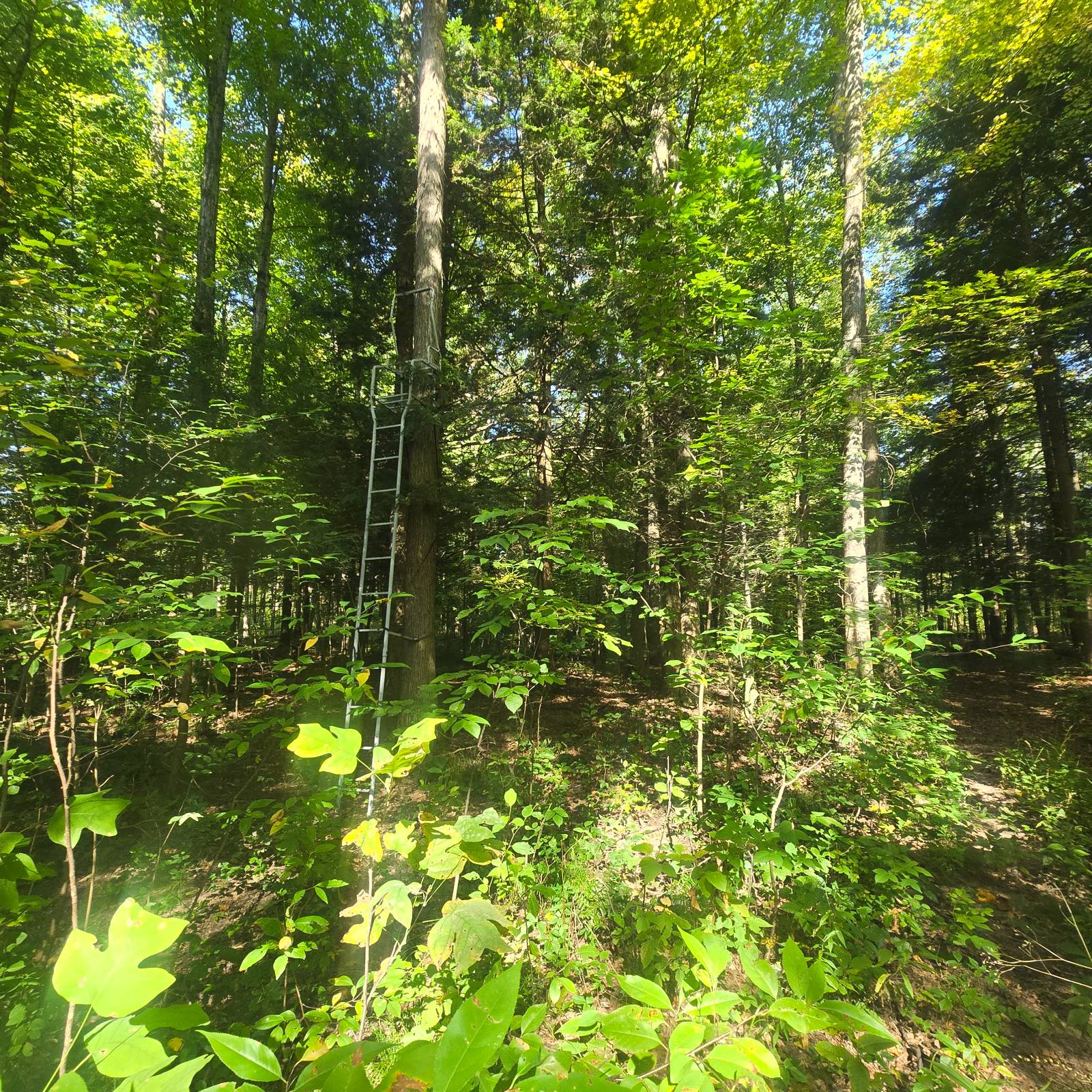 #23 photo, 2970 Whitelaw Rd, Canastota , NY 13032