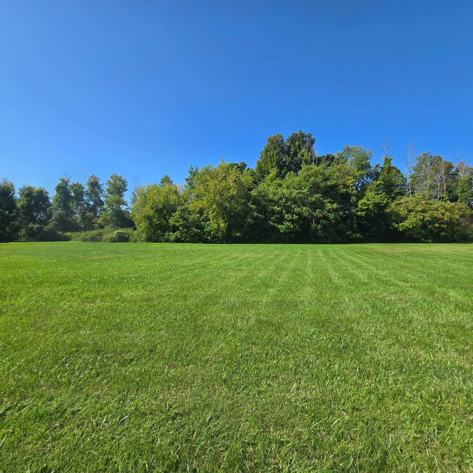#31 photo, 2970 Whitelaw Rd, Canastota , NY 13032