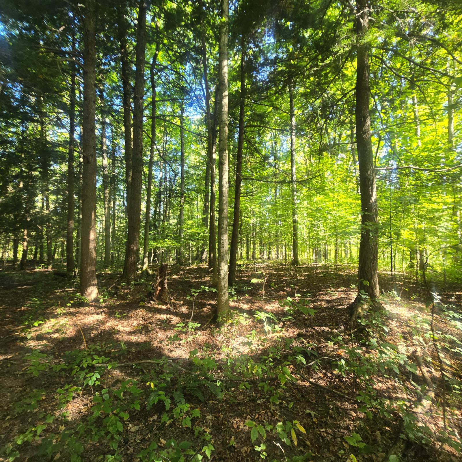 #33 photo, 2970 Whitelaw Rd, Canastota , NY 13032