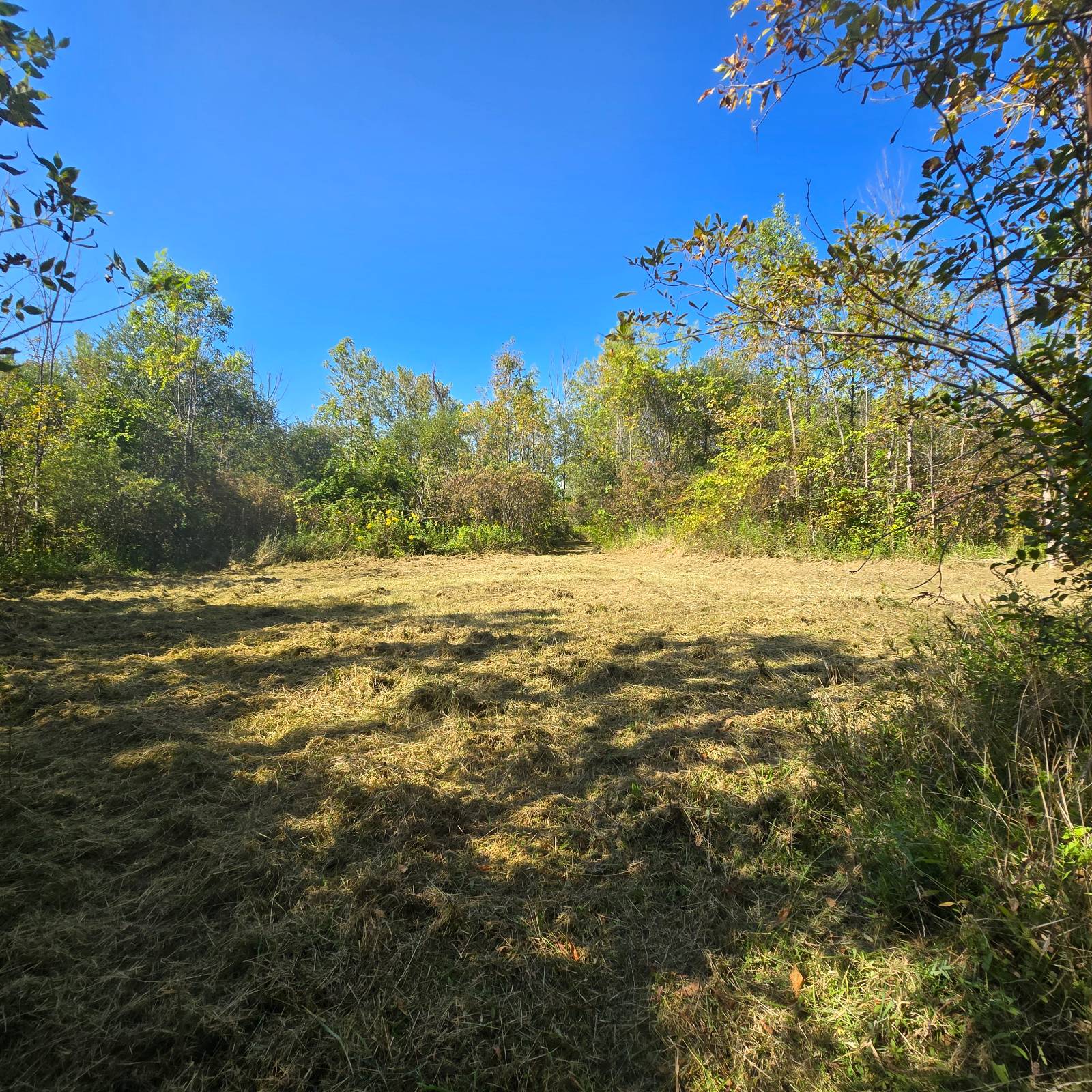 #35 photo, 2970 Whitelaw Rd, Canastota , NY 13032