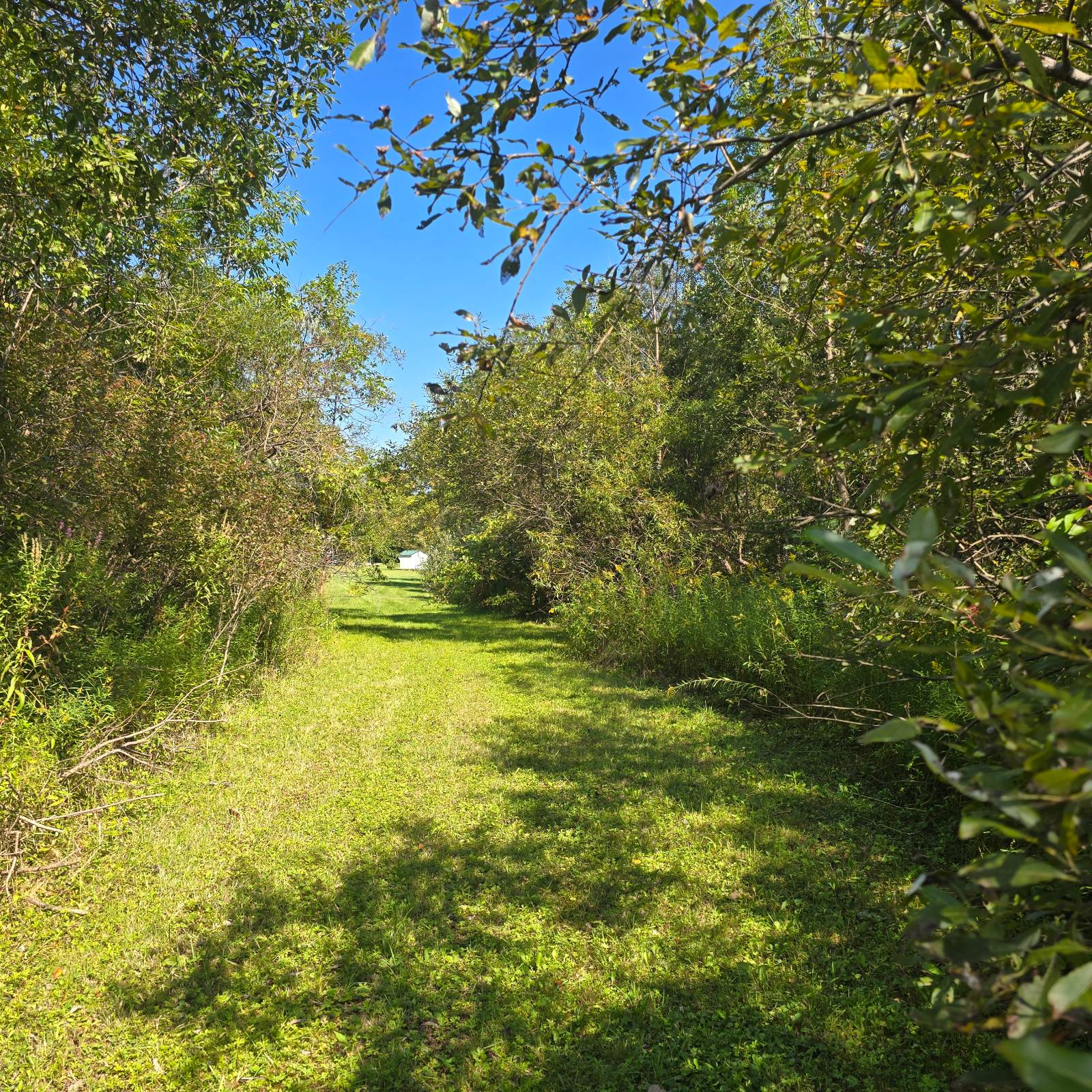 #36 photo, 2970 Whitelaw Rd, Canastota , NY 13032