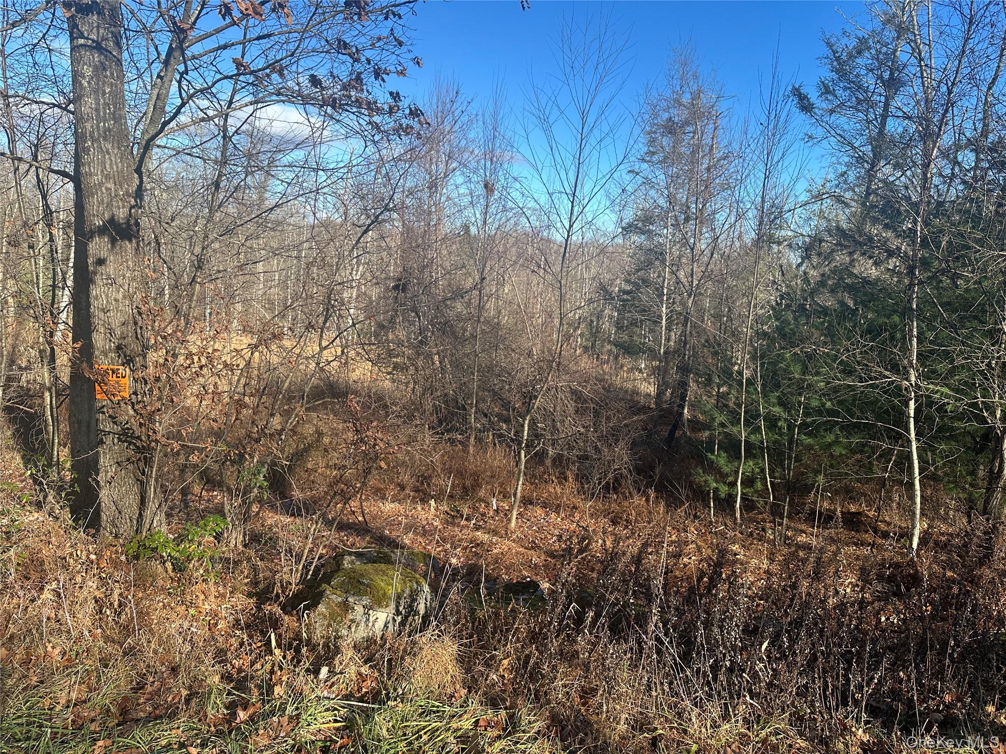 #2 photo, Oak Ridge, Ellenville , NY 12428